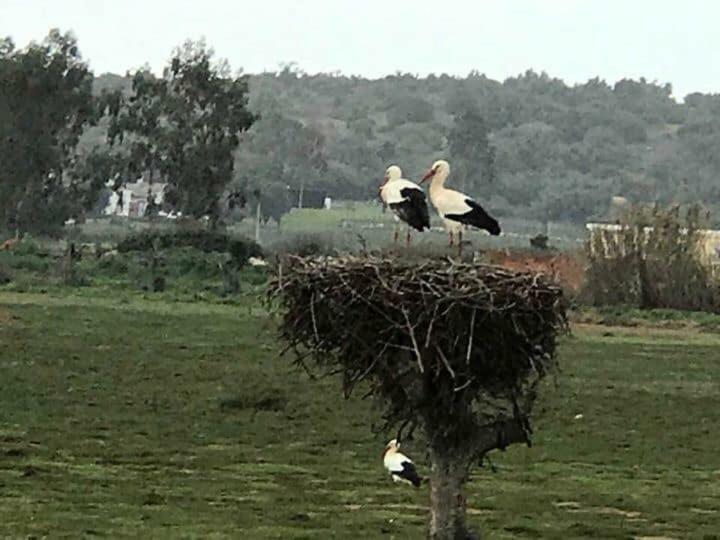Quinta De Santo Antonio Ac2 Daire Lagos Dış mekan fotoğraf